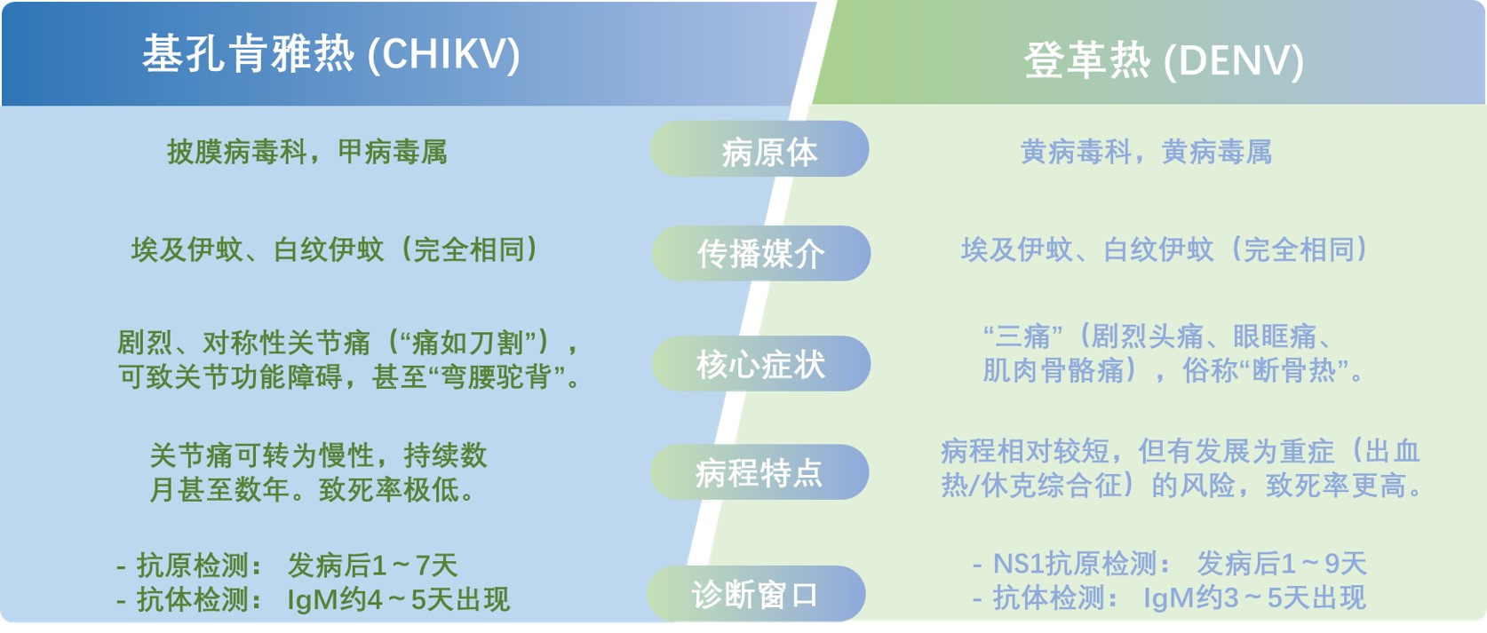 基孔肯雅热 vs. 登革热：破解鉴别诊断难题，迈跃生物一站式核心原料解决方案