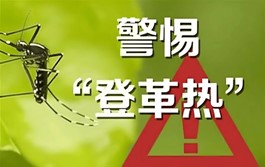 深度解析 | 攻克登革热诊断：从ADE机制到NS1/抗体检测核心原料解决方案